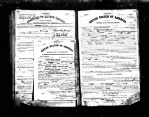 Petition for Naturalization and Declaration of Intention by Alexander Williams